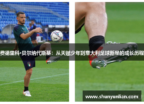费德里科·贝尔纳代斯基：从天赋少年到意大利足球新星的成长历程