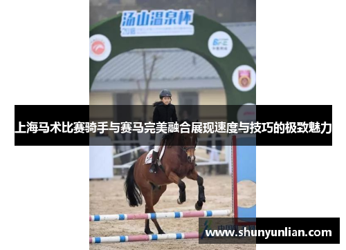 上海马术比赛骑手与赛马完美融合展现速度与技巧的极致魅力