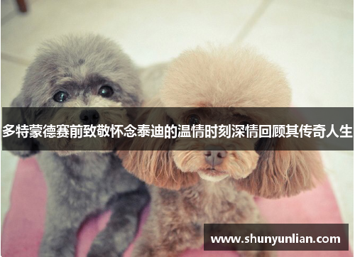 多特蒙德赛前致敬怀念泰迪的温情时刻深情回顾其传奇人生