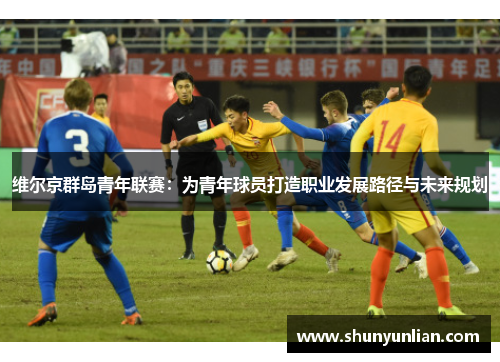维尔京群岛青年联赛：为青年球员打造职业发展路径与未来规划